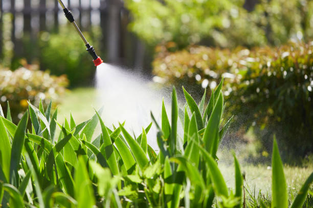 24/7 Emergency Mosquito Control experts in Ottawa, KS