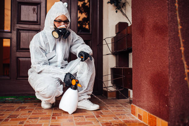 Reliable Mosquito Control contractor in Ottawa, KS by Nex Pest Control