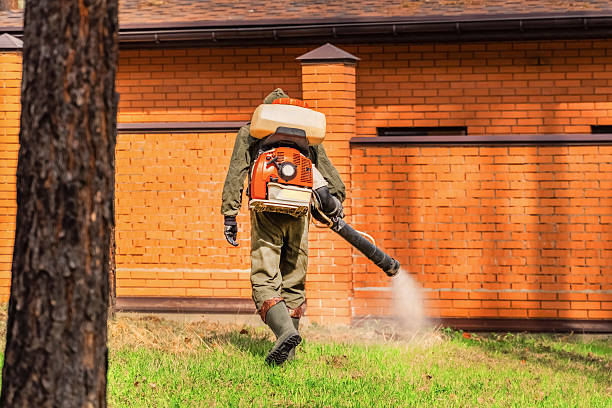 Trusted Ant Control service in Ottawa, KS - Nex Pest Control